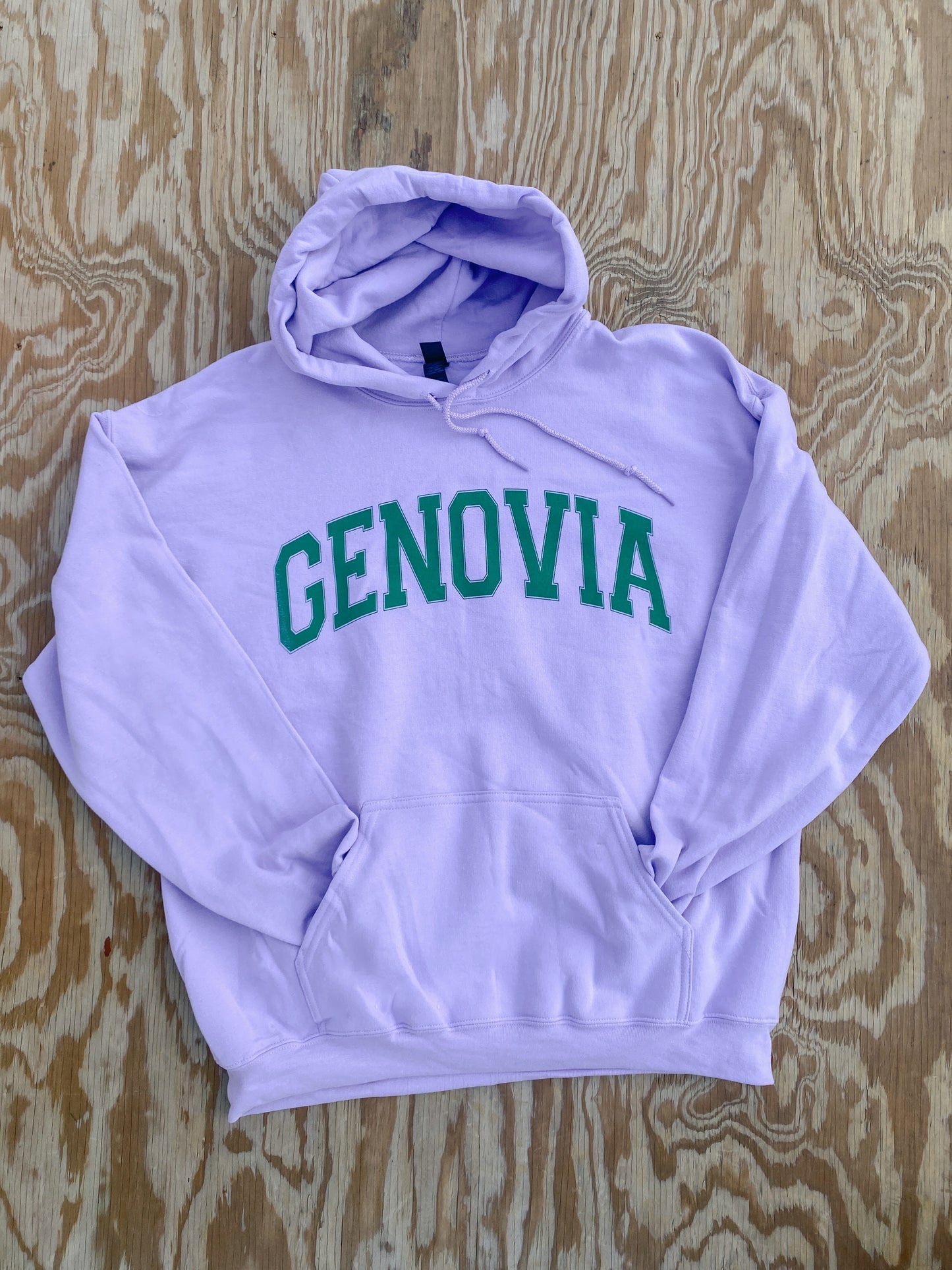 The Princess Diaries Genovia Hoodie