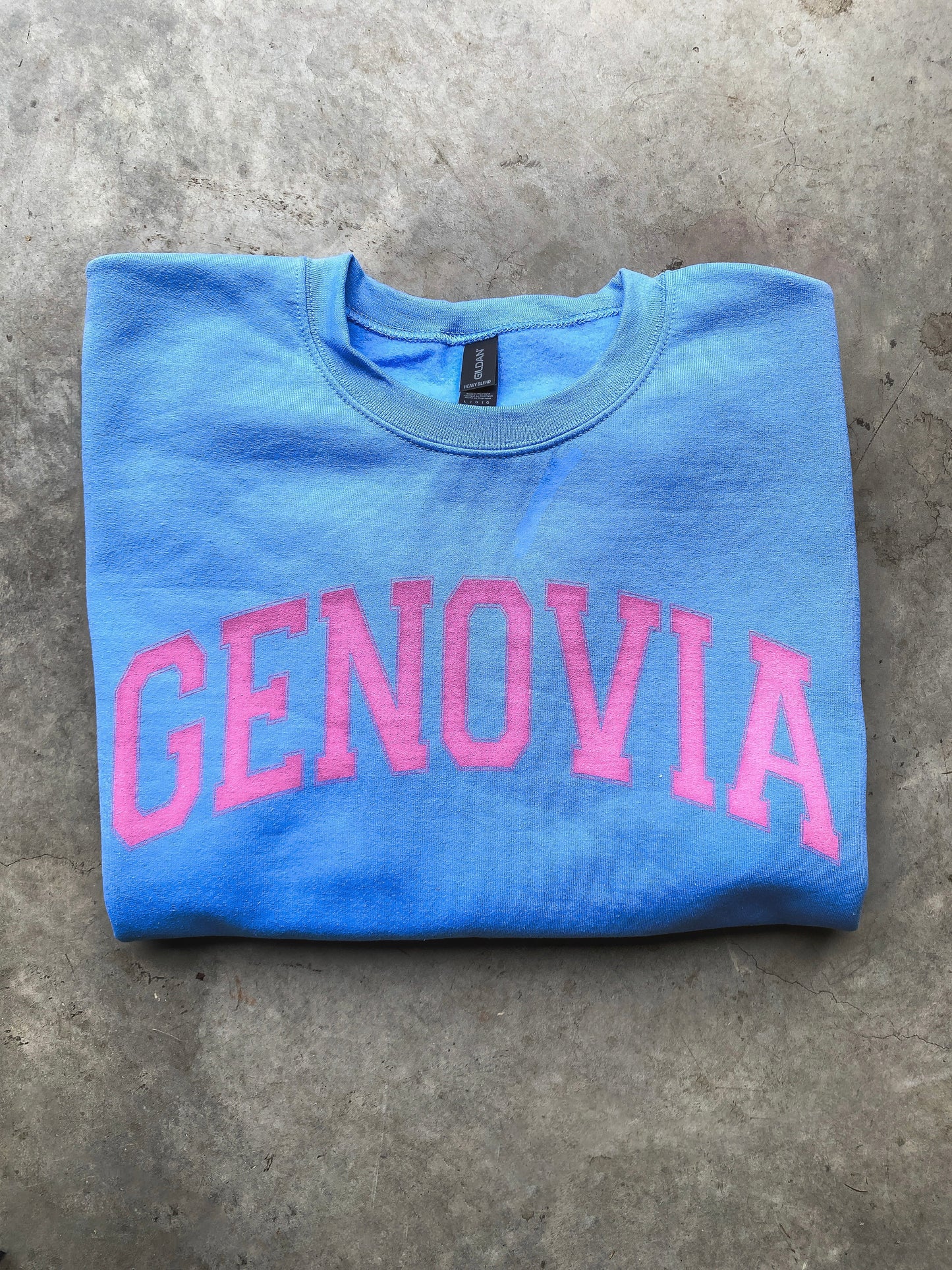 The Princess Diaries Genovia Sweatshirt