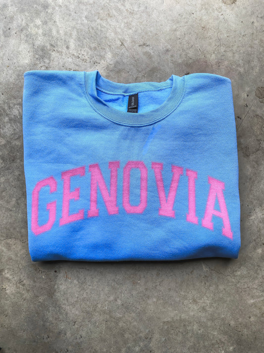 The Princess Diaries Genovia Sweatshirt