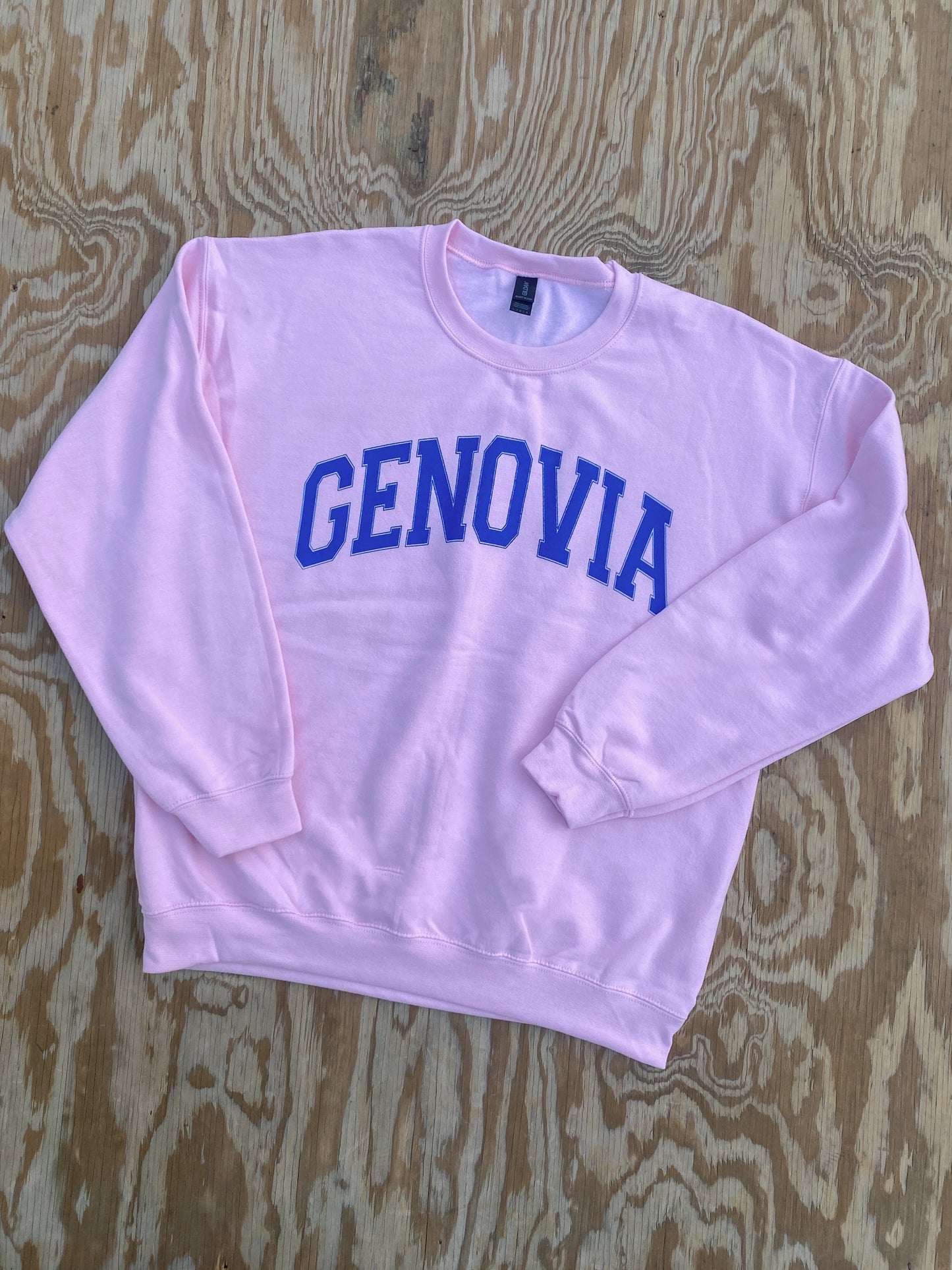 The Princess Diaries Genovia Sweatshirt