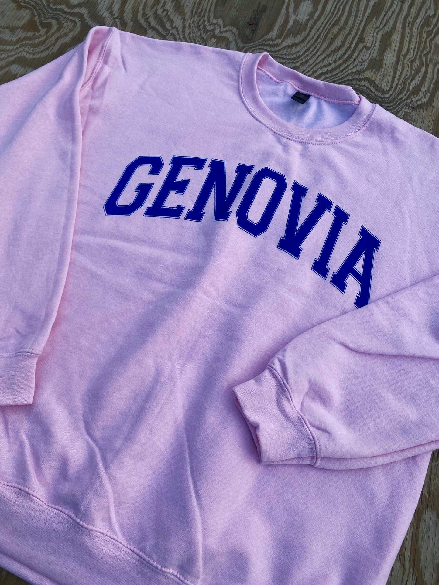The Princess Diaries Genovia Sweatshirt
